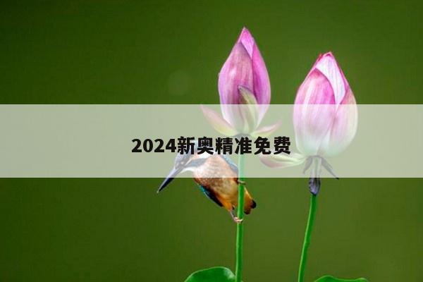 2024新奧精準(zhǔn)免費