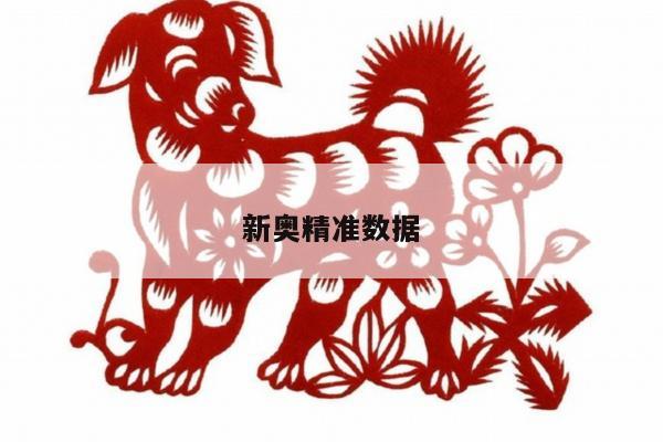 新奧精準數據/新奧大數據