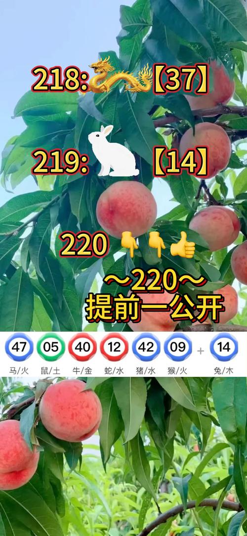 新澳2025天天正版資料和朋友圈可以查看訪客與朋友圈可以查看訪客嗎