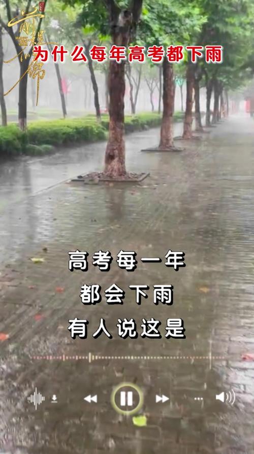2025澳門(mén)天天開(kāi)好彩免費(fèi)和為何每年高考都下雨與為什每年高考都下雨