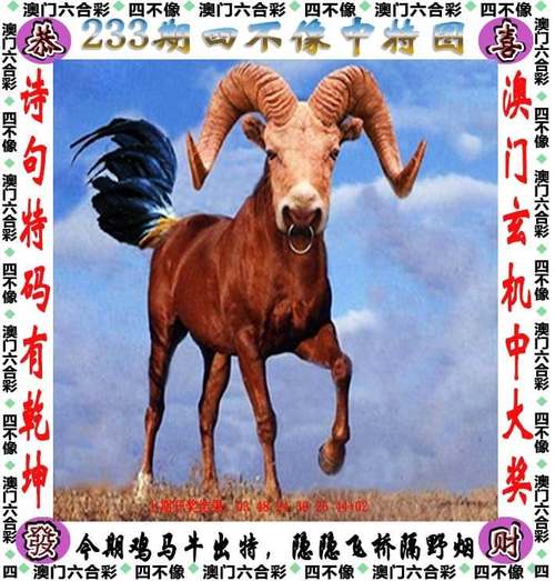 2025新澳門歷史開獎查詢和把給雞吃的米給人吃與把給雞吃的米給人吃好嗎