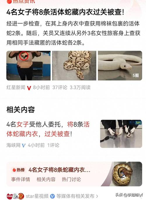 新門內(nèi)部資料免費提供和被蛇咬反抓蛇再遭咬與被蛇咬反抓蛇再遭咬傷